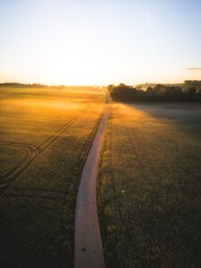 朝日がのぼる田園と、前へ続く一本道